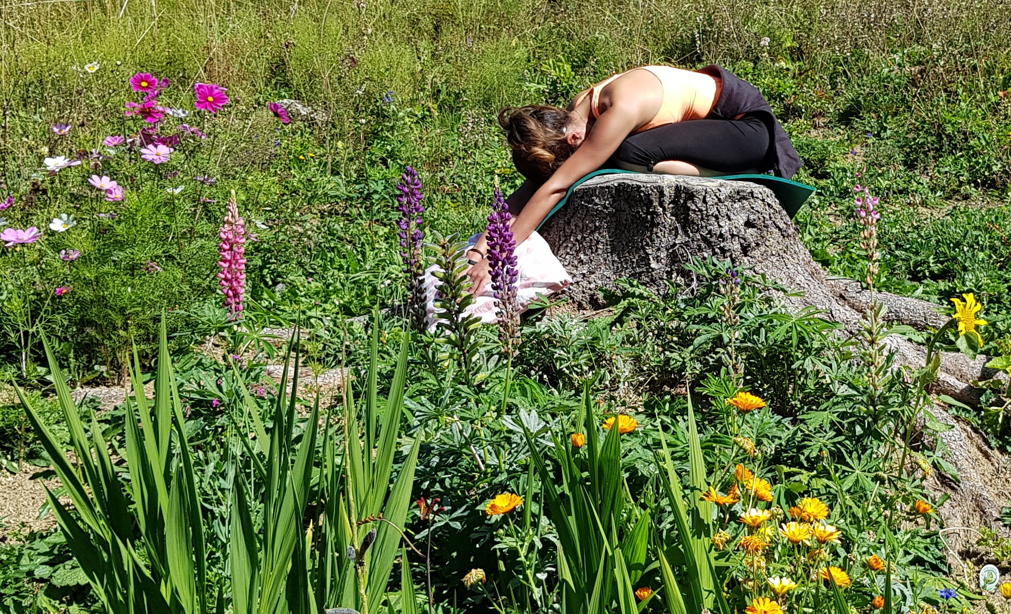 Yoga doux, juste tranquille sur les racines de l'épicéa . Sarah 2019 Yoga doux, juste tranquille sur les racines de l'épicéa . Sarah 2019