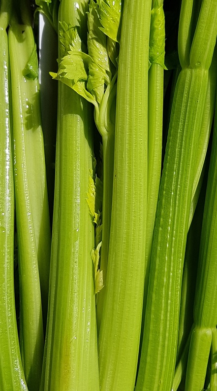 Le jus de céleri branche est riche en sels minéraux Le jus de céleri branche est riche en sels minéraux